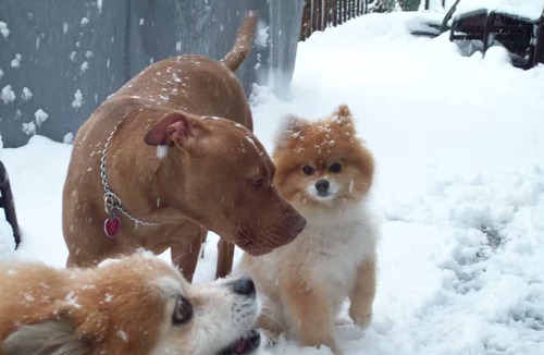 Wappingers Falls Apartment | Tranquil Tree-House on the beautiful Hudson River