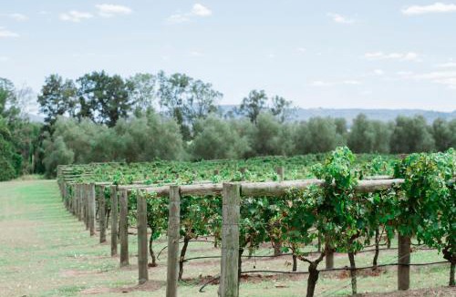 Luskintyre House | Tranquil Vale Vineyard