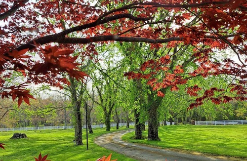 Yarmouth County House | Tranquility at Big Bear