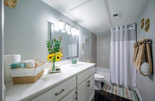 Braeswood Place Apartment | Tranquility IN THE CITY