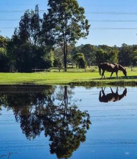 Cedar Creek House | Tranquility Ranch by Tiny Away