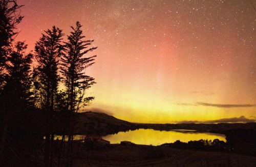 Owaka House | Tranquility Tiny House by Tiny Away