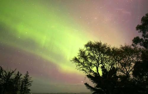 Owaka House | Tranquility Tiny House by Tiny Away