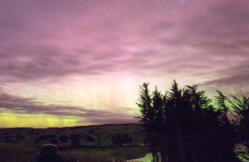 Owaka House | Tranquility Tiny House by Tiny Away