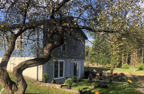 Cold Brook House | Tranquility