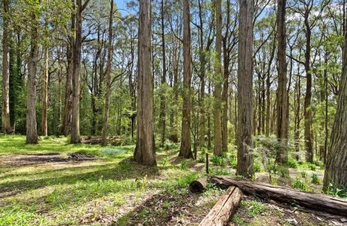 Sassafras House | Tranquill 4BR Retreat