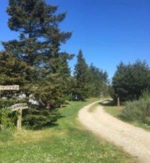 Brovst Other | Tranum Klit Camping og Hytteudlejning