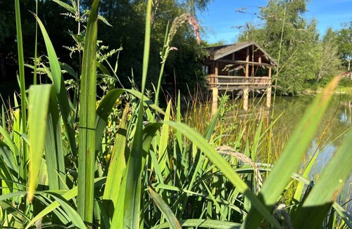 Roches Ski Chalet | Trapper's cabin