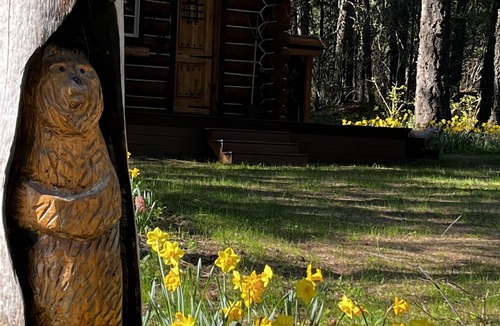 Bonner County Cabin | Trappers Cabin, Tiny home, Romantic get away