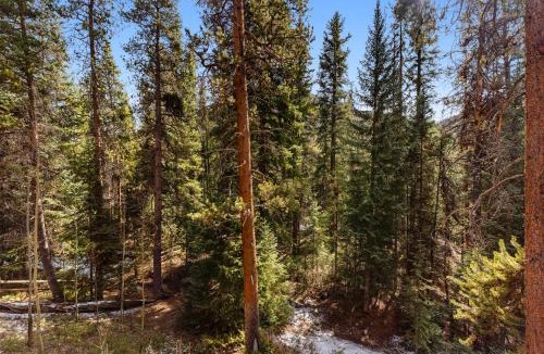 Keystone Apartment | Trappers Crossing 8768 : 2