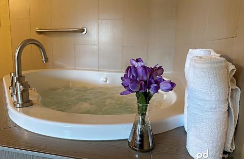 Three Bridges Hotel | Travel Inn & Suites Flemington