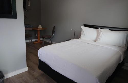 Kenora Hotel | Traveler's Inn