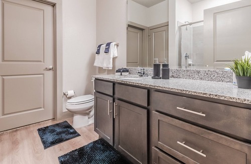 Farmers Branch Apartment | Traveler's Paradise Lux Apt w/ Backyard + more!