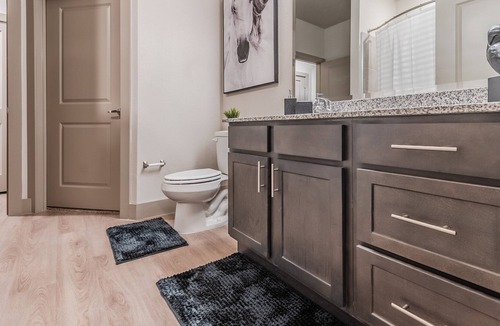 Farmers Branch Apartment | Traveler's Paradise Lux Apt w/ Backyard + more!