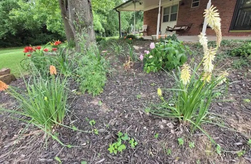 Muskogee House | Traveller's peaceful paradise