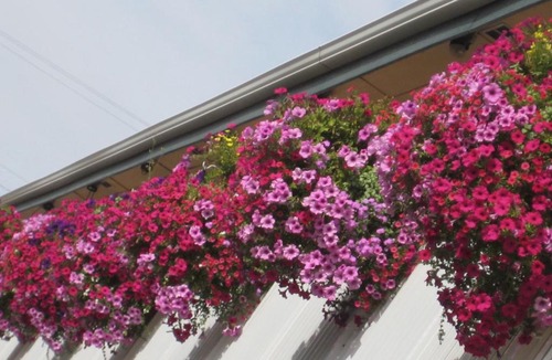 Pendleton Hotel | Travelodge by Wyndham Pendleton OR