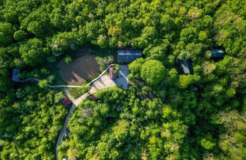 Slunj Apartment | Tree Elements treehouse retreat