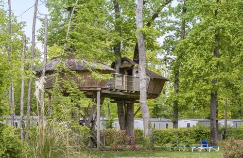 Muides-sur-Loire Cottage | Tree-house 5p 2Bdrms