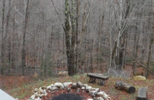 Lake Placid House | Tree House Feel in a Perfect Location