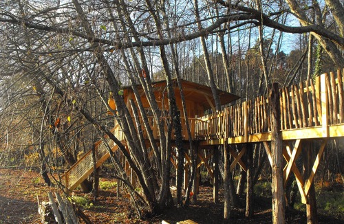 Allons Cabin | Tree house