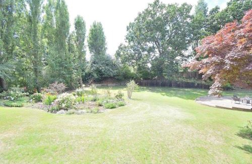 Harlow Villa | Tree House