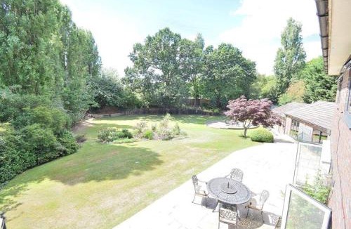 Harlow Villa | Tree House