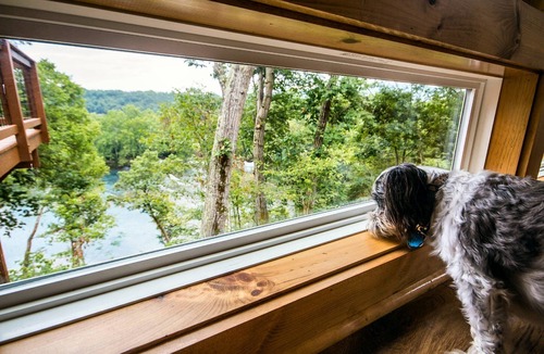 Luray Cabin | Tree Top cabin on the Shenandoah River