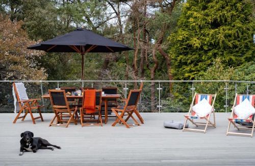 St Leonards House | Tree Top House