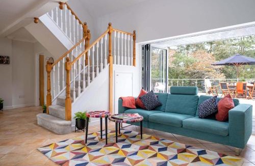 St Leonards House | Tree Top House