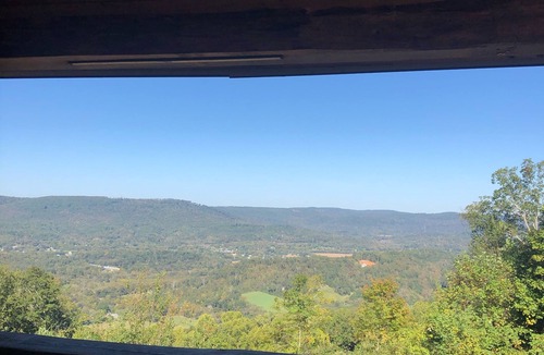 Trenton Apartment | Tree Top View