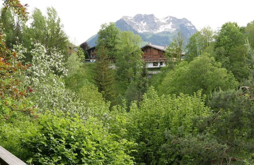 Gstaad Apartment | Tree-Tops, Chalet by Interhome