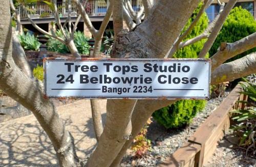 Bangor House | Tree Tops Studio Bangor