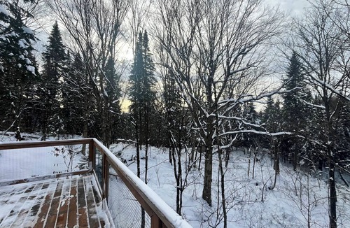 Saint-Faustin-Lac-Carre House | Treehouse #06 | The Rockhouse