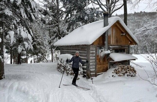Saint-Faustin-Lac-Carre House | Treehouse #07 (In the forest)