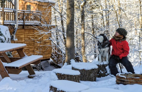Saint-Faustin-Lac-Carre House | Treehouse #9 | The Yurt
