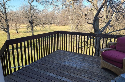 Caledonia Apartment | Treehouse Apartment