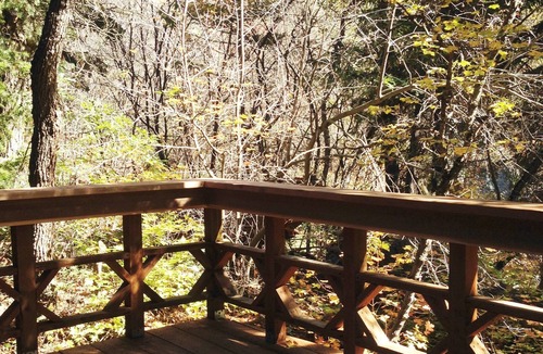 Sundance Cabin | Treehouse by the Stream