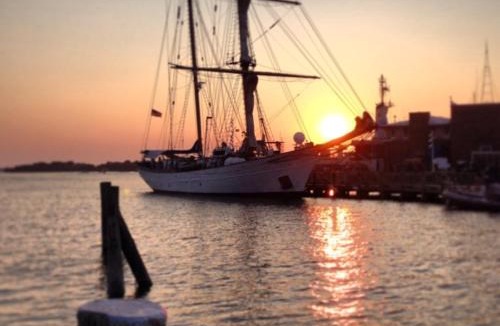 Woods Hole Hotel | Treehouse Lodge