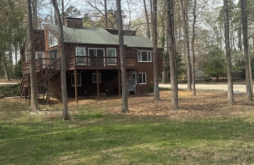 Albemarle House | TREEHOUSE NOW AVAILABLE! nA 5-bedroom, 2 driveways, 1.2 acres. 807 Brunson Drive