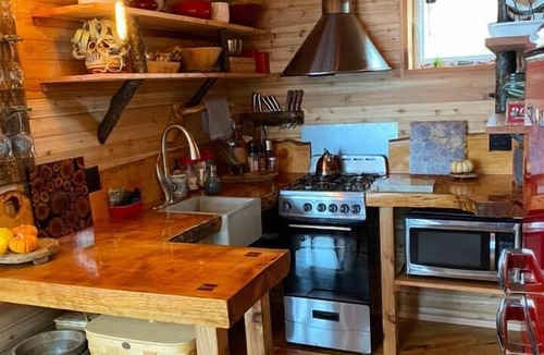 Port Angeles House | Treehouse over the water - Eagle's Nest