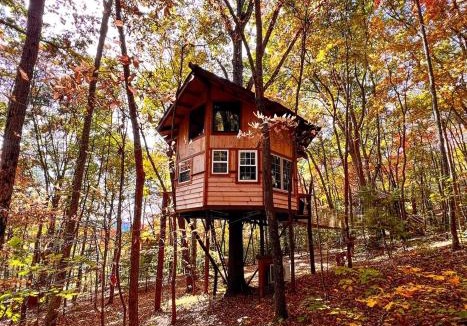 Copperhill House | Treehouse wFull Disc Golf CourseDog Friendly