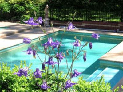 Blackburn Bed & Breakfast | Treetops Bed & Breakfast