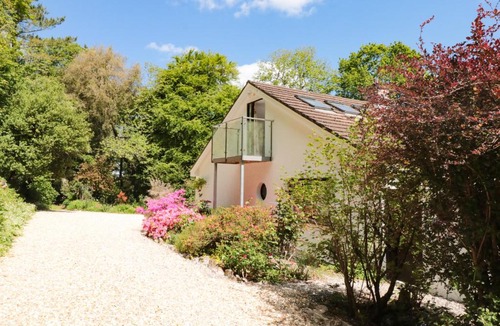 Salcombe House | Treetops