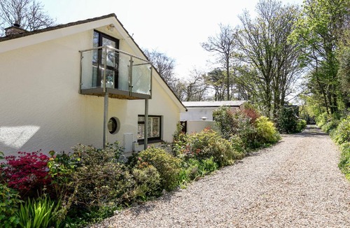 Salcombe House | Treetops