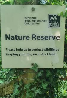 High Wycombe Apartment | Treetops Studio Apartment