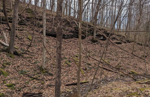 Cedarville RV Rental | Tremendous camp site in Glenville perfect for outdoor .55 acres of woods. W