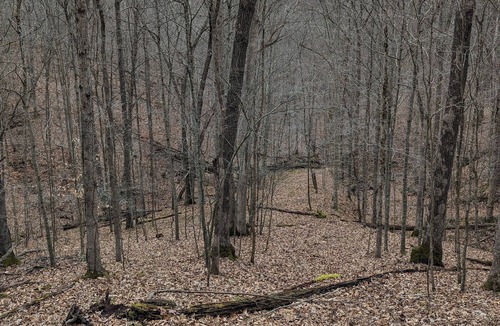 Cedarville RV Rental | Tremendous camp site in Glenville perfect for outdoor .55 acres of woods. W