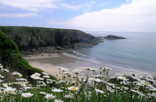 St Brides House | Tremynydd Fawr