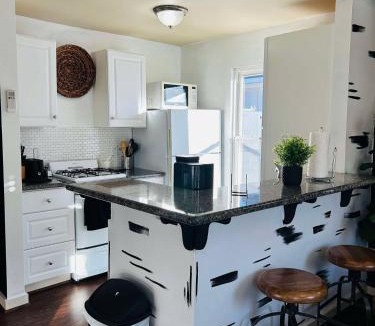 South Central Houston Apartment | Trendy and modern apartment at rice village