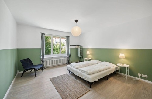Horgen District Apartment | Trendy Loft: Open Design